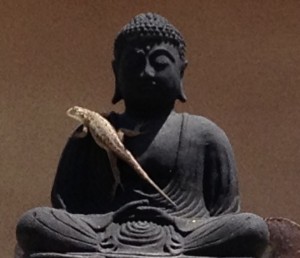 lizard-buddha