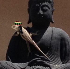 lizard-buddha-dreads