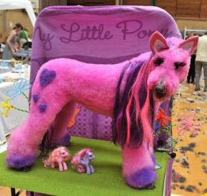 myLittlePonyDog